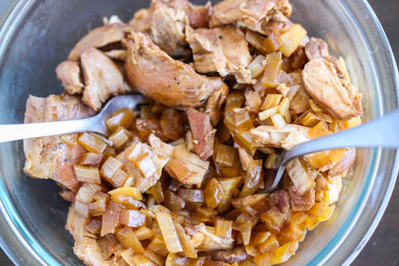 root beer pulled chicken-5699