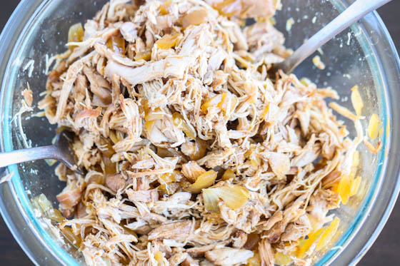 root beer pulled chicken-5703
